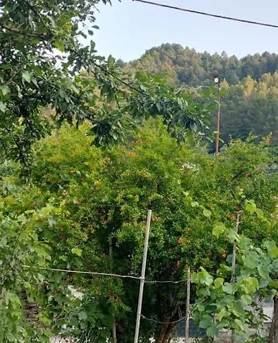 Apartament Teuta